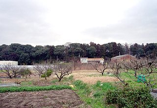現在の駒野城跡